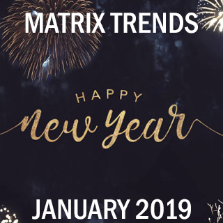 Matrix January 2019