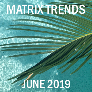 Matrix June 2019