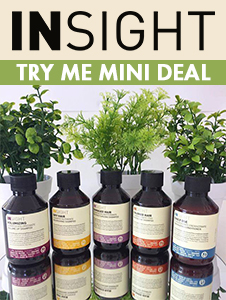 Insight Professional - Try Me Mini Deal