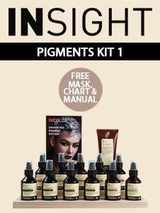 Insight Professional - Pigments Kit 1