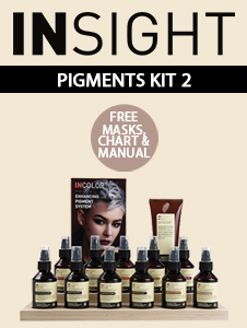 Insight Professional - Pigments Kit 2