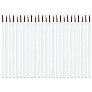 HIVE DISP LIP BRUSHES (25)