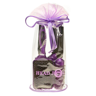 HEAD JOG PURPLE BRUSH SET (4)