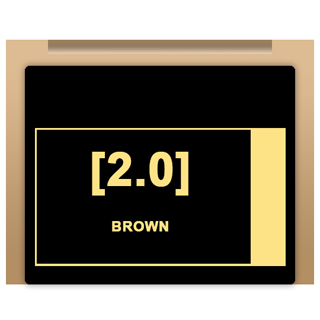 Insight Colour - 2/0 Brown 100ml