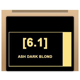 Insight Colour - 6/1 Ash Dark Blond 100ml