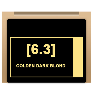 Insight Colour - 6/3 Golden Dark Blond 100ml