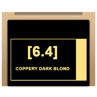 Insight Colour - 6/4 Coppery Dark Blond 100ml