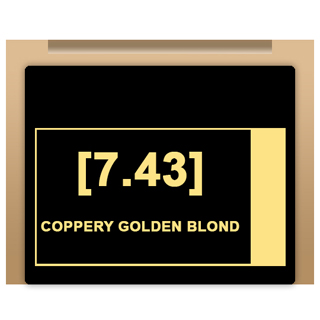 insight Colour - 7/43 Coppery Golden Blond 100ml