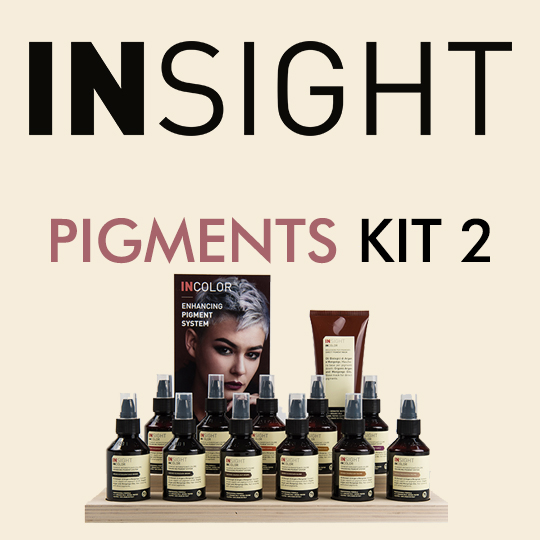 Insight Pigments Kit 2