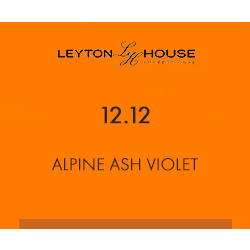 Leyton House Silk Permanent 12/12 Alpine Ash Violet 100ml