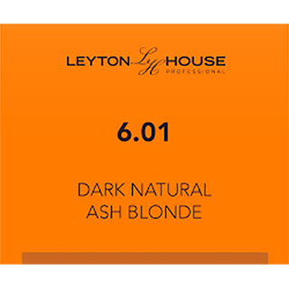 LH Silk Permanent 6/01 Dark Natural Ash Blonde 100ml