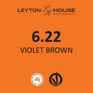 Leyton House Silk Permanent Colour - 6/22 100ml