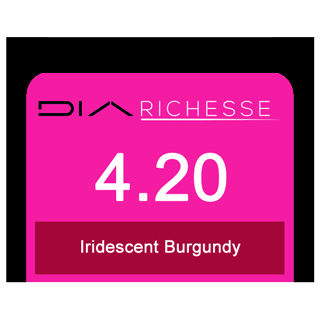 DIA RICHESSE 4/20 IRID BURGUNDY (DM5)