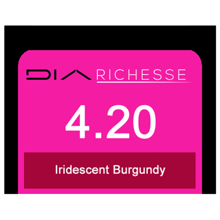 Dia Richesse 4/20 Irid Burgundy (Dm5)