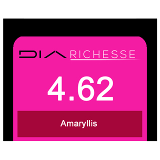 DIA RICHESSE 4/62 AMARYLLIS (DM5)