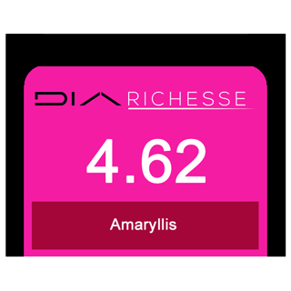 Dia Richesse 4/62 Amaryllis (Dm5)