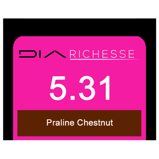 DIA RICHESSE 5/31 PRALINE CHESTNUT