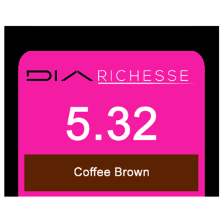 DIA RICHESSE 5/32 COFFEE BROWN