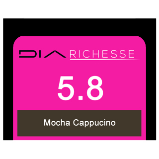 Dia Richesse 5/8 Mocca Cappucino 50ml