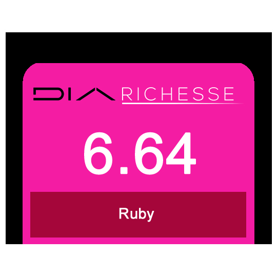 Dia Richesse 6/64 Ruby 50ml