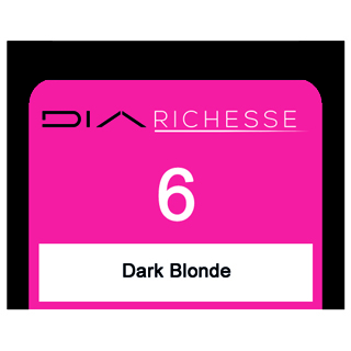 DIA RICHESSE 6 DARK BLONDE