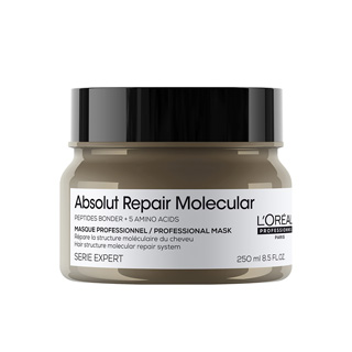Loreal Serie Expert Absolut Repair Molecular Masque 250ml