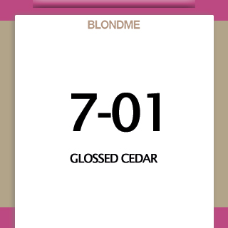Schwarzkopf BlondMe Glow Gel Toner Glossed Cedar 60ml