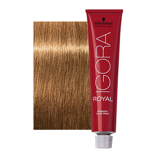 IGORA ROYAL 8/55 LIGHT BLONDE GOLD EXTRA