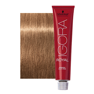 IGORA ROYAL 8-65 LIGHT BLONDE CHOCOLATE GOLD 60ML