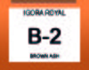 IGORA ROYAL B-2 BROWN ASH 60ML