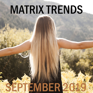 Matrix Trends September 2019 Assets
