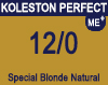 New Koleston Perfect Me+ 12/0 Special Natural Blonde 60ml